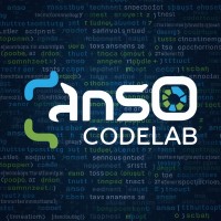 ANSO CODELAB logo - Similar company to Vit Solutions