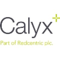 Calyx Managed Services logo - Similar company to Experior