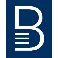 Blue Ladders Web Design logo - Similar company to Constructo Marketing