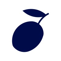 Blue Olive Studio - Architectural Visualisation logo - Similar company to Studio A Designs