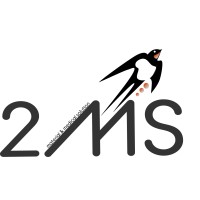 2MS logo - Similar company to Hexashape