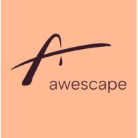 Awescape logo - Similar company to First Day Advisory Group