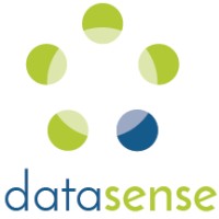 DataSense Consulting (Austin, TX) logo - Similar company to Kapwork