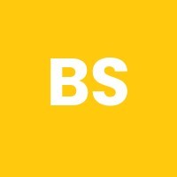 Biznex Software Solutions logo - Similar company to Present Value Analytics And Consulting