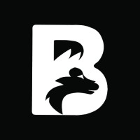 Balto logo - Similar company to Balto