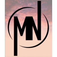 MN Industries logo - Similar company to Pyramide Construction