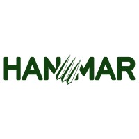 Hanmar Group logo - Similar company to Valusys