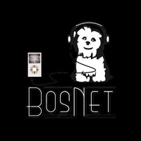 The BosNet Family LLC