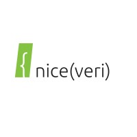 Niceveri Systems logo - Similar company to Flowharf Bilişim Teknolojileri