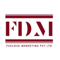 FuelDigi Marketing Private Limited logo - Similar company to Tecminion