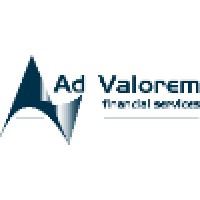 Avfs Financieel Interim Management Bv