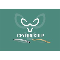 Ceylan Handle and Furniture Accessories logo - Similar company to 厦门士兰集科微电子有限公司