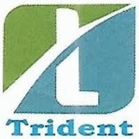 Trident Finserve logo - Similar company to Ars Prime Digital