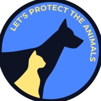ZooPatrol logo - Similar company to International Marketing Business Academy