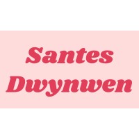 Santes Dwynwen Magazine logo - Similar company to Brown Paper Packages