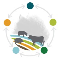 ClieNFarms logo - Similar company to Global Food And Environment Institute, University Of Leeds