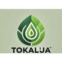 Tokaluja Gestion & Expertise logo - Similar company to Keepushing