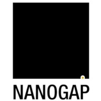 NANOGAP logo - Similar company to Tewer Engineering