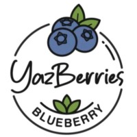 YazBerries Blueberry logo - Similar company to Qualitasberry