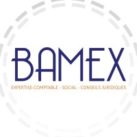 BAMEX Cabinet d'Expertise Comptable logo - Similar company to Looys Cabinet D'Expertise Comptable