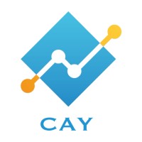 CAY CONSULTING logo - Similar company to Codetohope