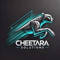 CHEETARA SOLUTIONS logo - Similar company to Dream Tech Labs
