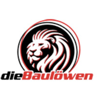 dieBaulöwen AG logo - Similar company to Befex Gruppe