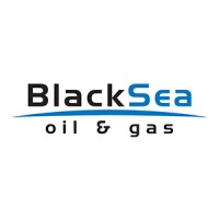 Black Sea Oil & Gas SA logo - Similar company to Ankitech