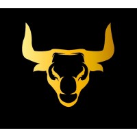 Bullmex logo - Similar company to Contabull