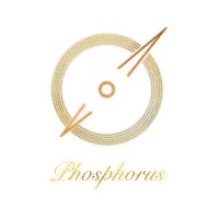 Phosphorus Education logo - Similar company to Infrastructure Ventures