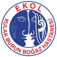 Ekol Hospitals logo - Similar company to Remax Flex