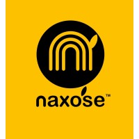 Naxose logo - Similar company to Vonv Studio