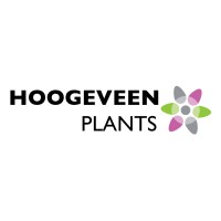 Hoogeveen Plants logo - Similar company to R&G Export B.V.