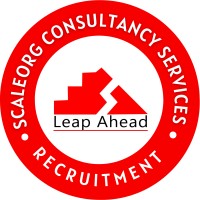 ScaleOrg Consulting Services logo - Similar company to Scaleorg Consulting Services