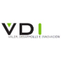 Vdi Valor Desarrollo E Innovación