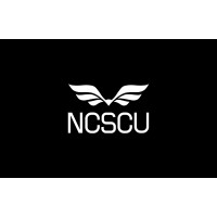 Nkwashi City Savings & Credit Union logo - Similar company to Thebe Investment Management