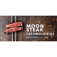 Moon Steak Technologies logo - Similar company to Lemna Pro Ltd.