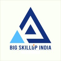 Bigskillup india logo - Similar company to Prudent Training & Consultancy