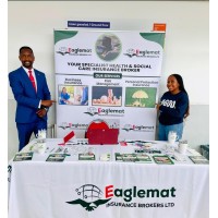 Eaglemat Insurance Brokers Ltd logo - Similar company to Momentum Insurance Brokers