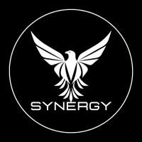 Synergy Vision logo - Similar company to Linguibex | Language Services