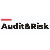 Audit and Risk logo - Similar company to Topog-E, Llc