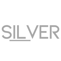 Silver Labs & Consulting logo - Similar company to Forge | Business Relationships