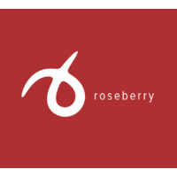Roseberry Digital logo - Similar company to The Lighthouse Collective