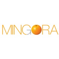 Mingora logo - Similar company to Tray