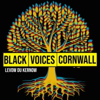 Black Voices Cornwall CIO logo - Similar company to Cornwall Community Foundation