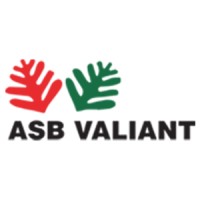 ASB VALIANT COMPANY LIMITED logo - Similar company to Etl Engineering Services Ltd