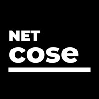 NetCose logo - Similar company to G3D - Global 3D Systems