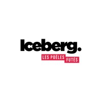 Iceberg logo - Similar company to Aäsgard