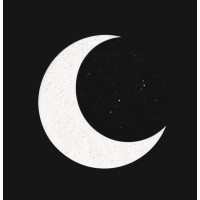 ShadowSurface logo - Similar company to Iloyal