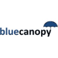 Blue Canopy Consultants